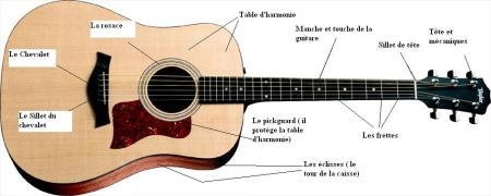 Voici un plan de la composition d'une guitare.