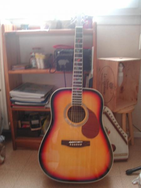 Une vue d'ensemble de Flora